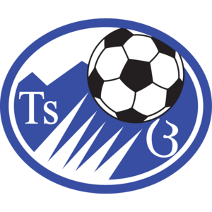 FC Tskhinvali Logo